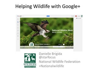 Helping Wildlife with Google+




          Danielle Brigida
          @starfocus
          National Wildlife Federation
          +Nationalwildlife
 