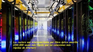 Los routers son interconectados por fibra óptica amarilla
(200,000 veces más rápida que las conexiones más
rápidas de internet)
 