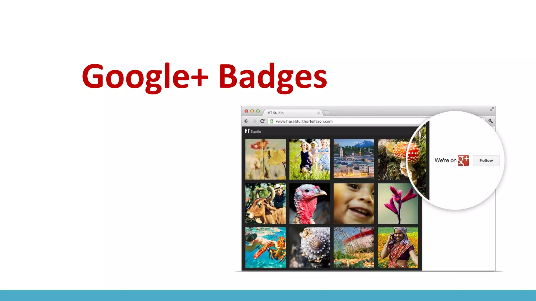 Google+ Badges
 