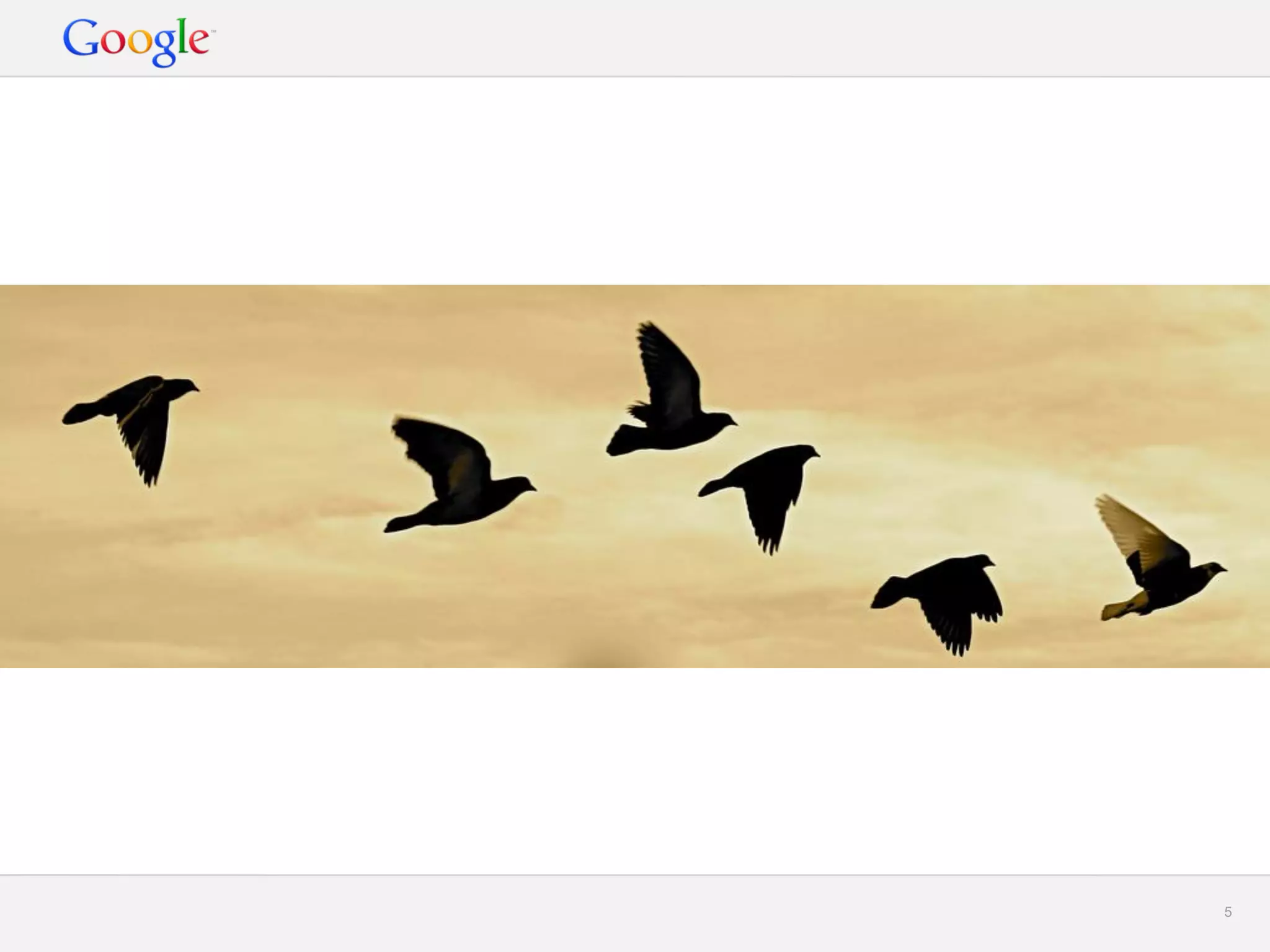 Google Confidential and Proprietary 
5 
 