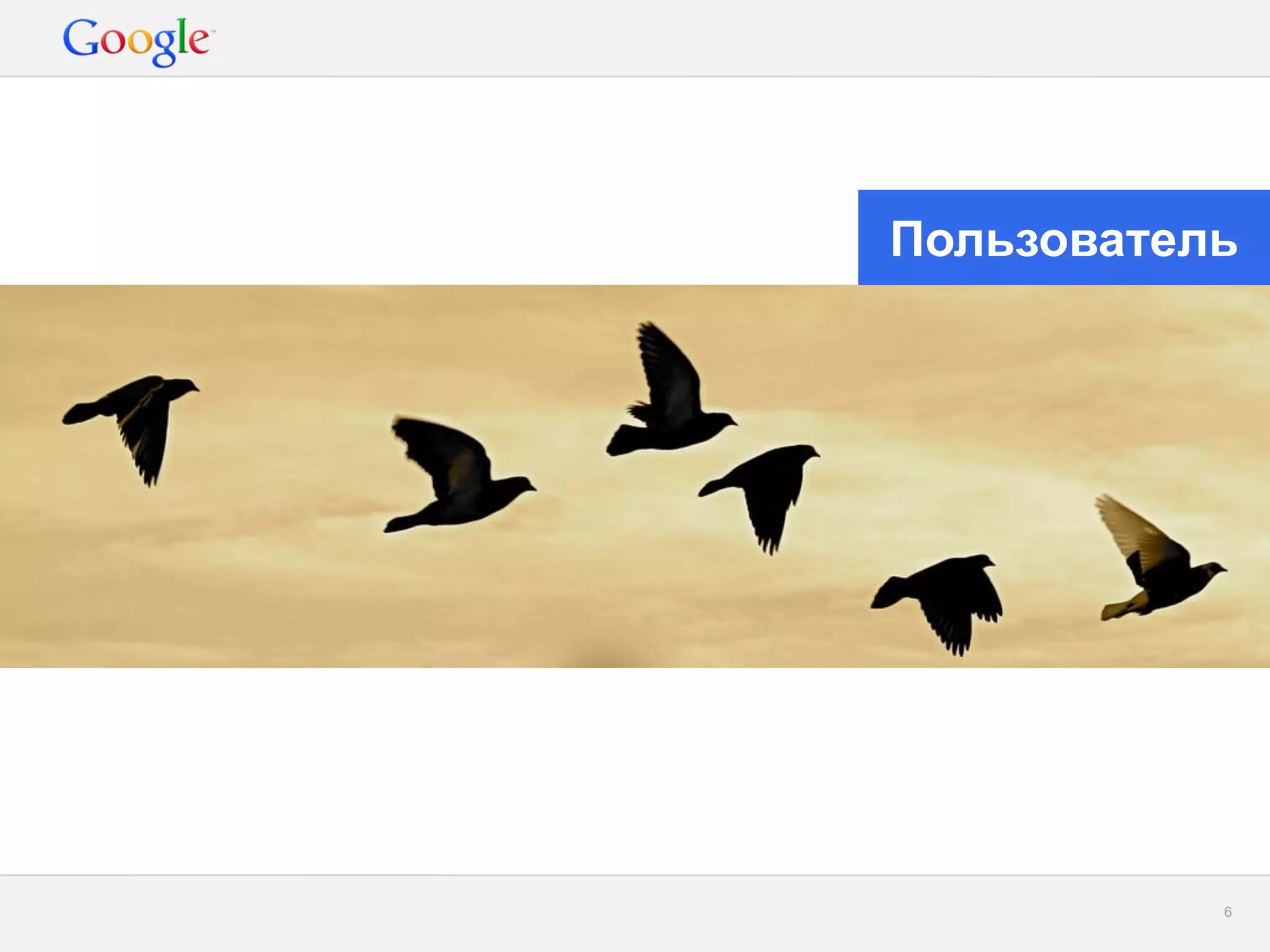 Google Confidential and Proprietary 
6 
Пользователь  