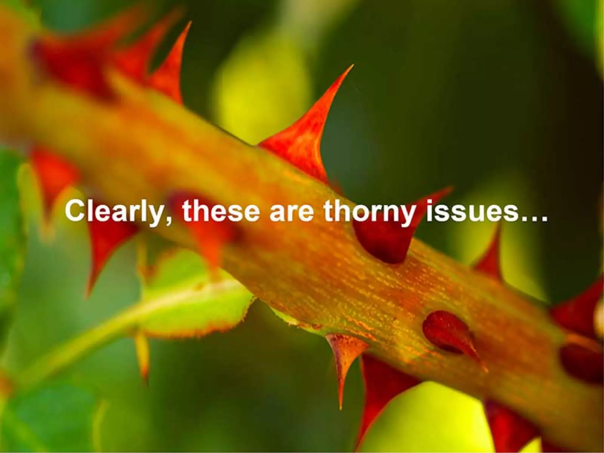 Google Deck on Digital Wellbeing 'A Call to Minimize Distraction and Respect Users' Attention'