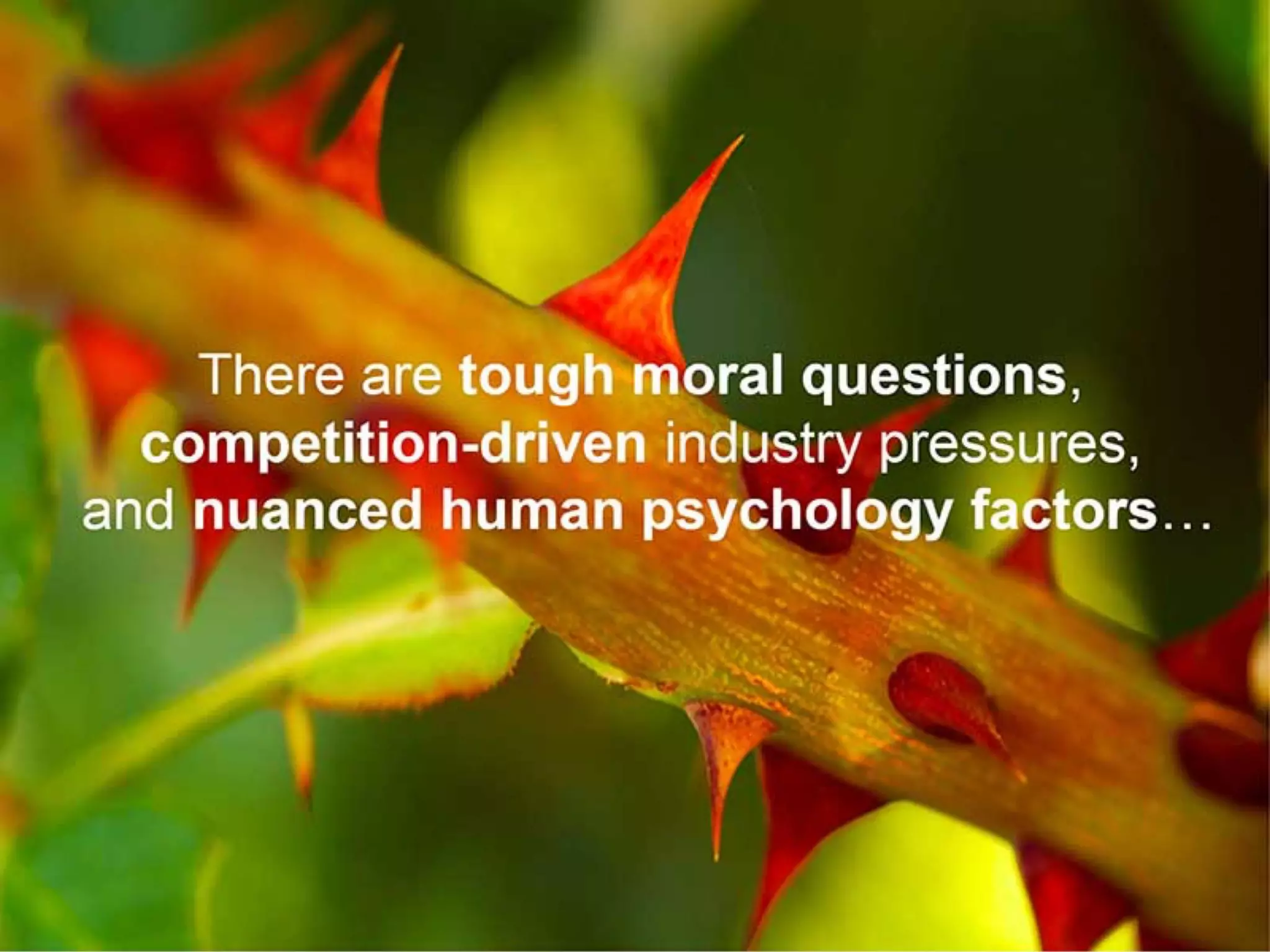 Google Deck on Digital Wellbeing 'A Call to Minimize Distraction and Respect Users' Attention'