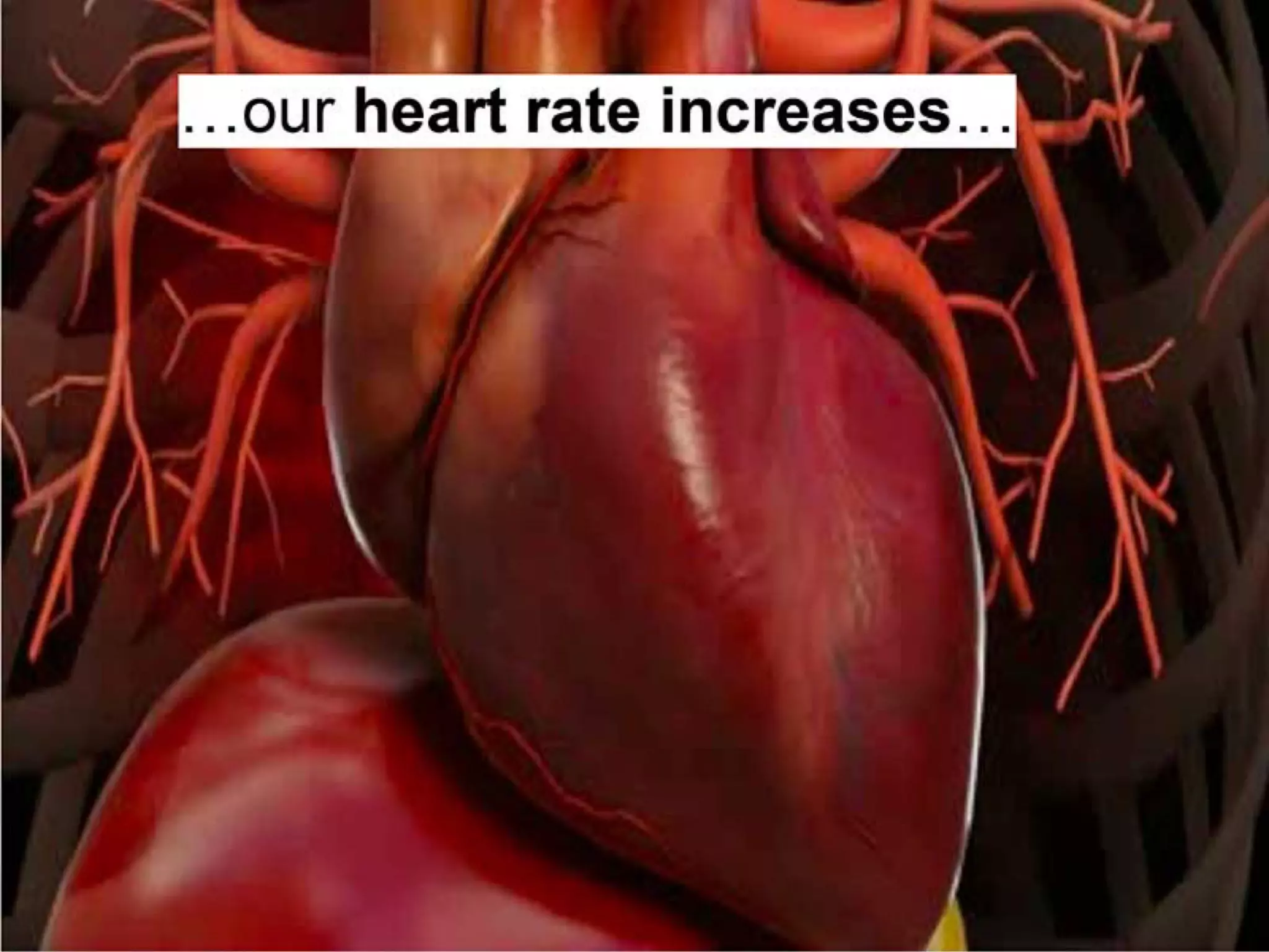 Google Deck on Digital Wellbeing 'A Call to Minimize Distraction and Respect Users' Attention'