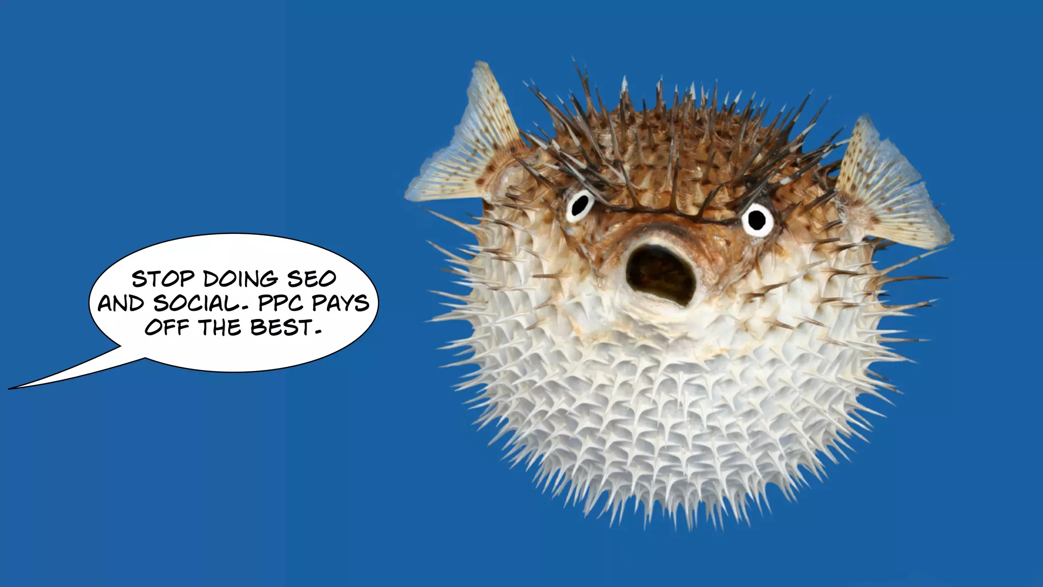 stop doing seo
and social. ppc pays
off the best.
 