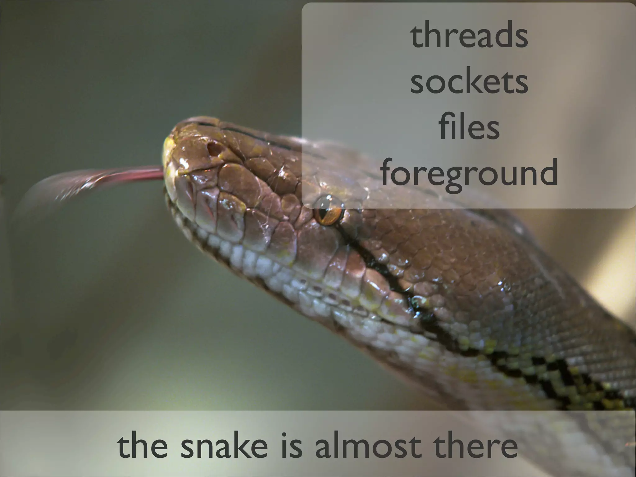 Google Back To Front: From Gears to App Engine and Beyond