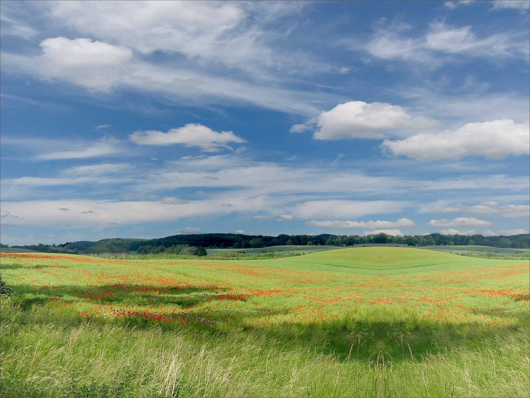 Google Back To Front: From Gears to App Engine and Beyond
