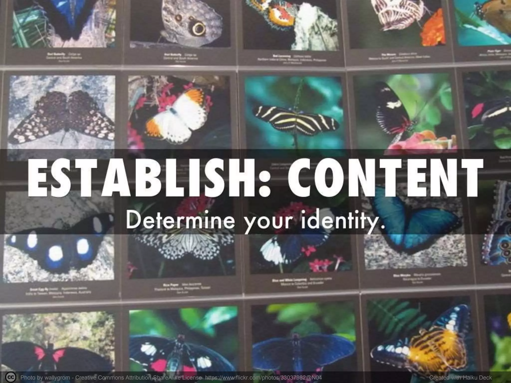 Photo by Smath. - Creative Commons Attribution License https://www.flickr.com/photos/63442123@N00 Created with Haiku Deck
 