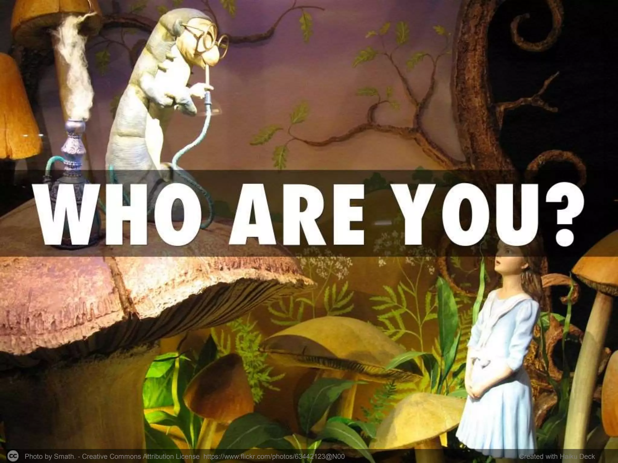 Photo by tim caynes - Creative Commons Attribution-NonCommercial License https://www.flickr.com/photos/70021771@N00 Created with Haiku Deck
 