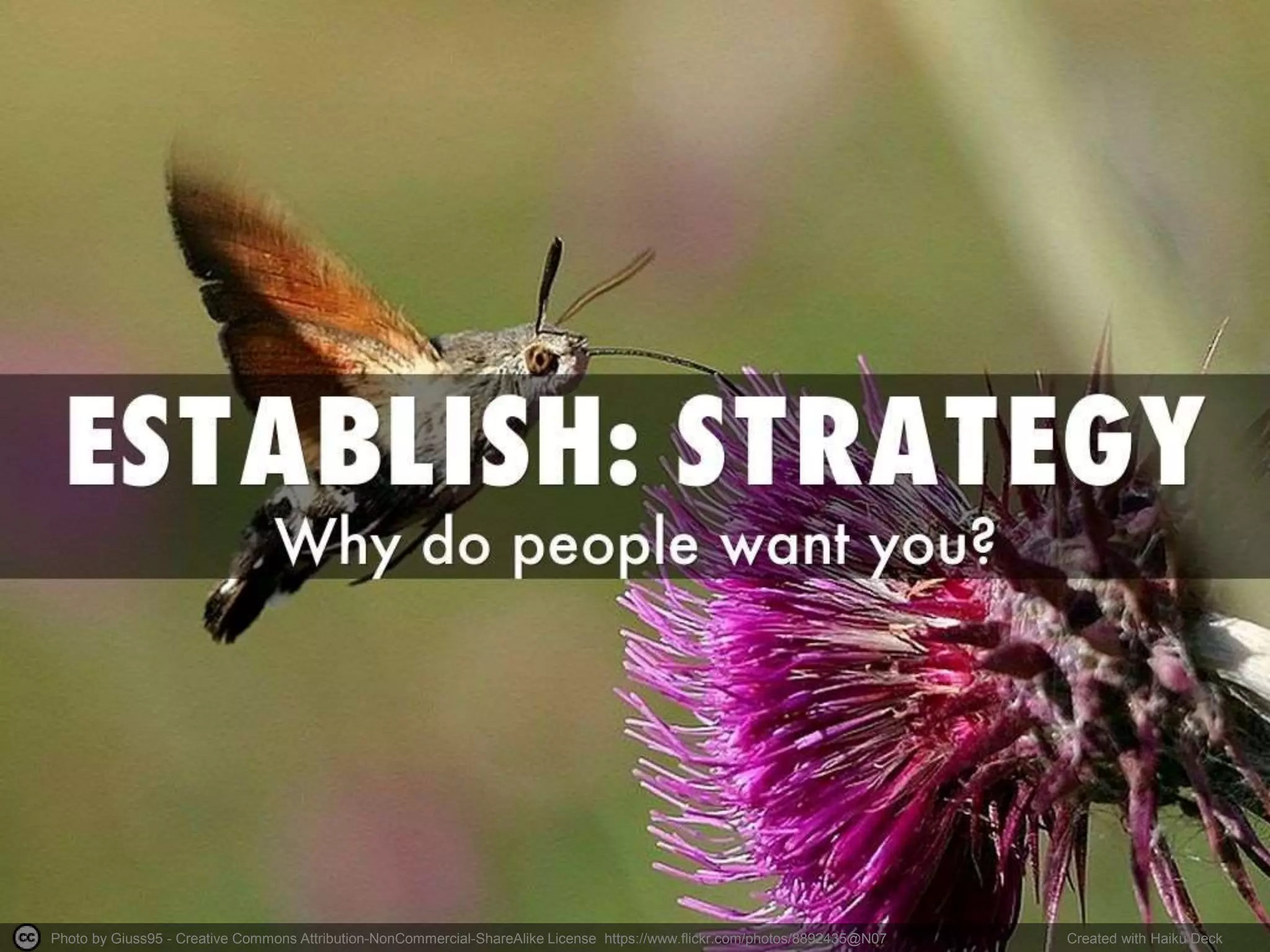 Photo by aussiegall - Creative Commons Attribution License https://www.flickr.com/photos/14516334@N00 Created with Haiku Deck
 