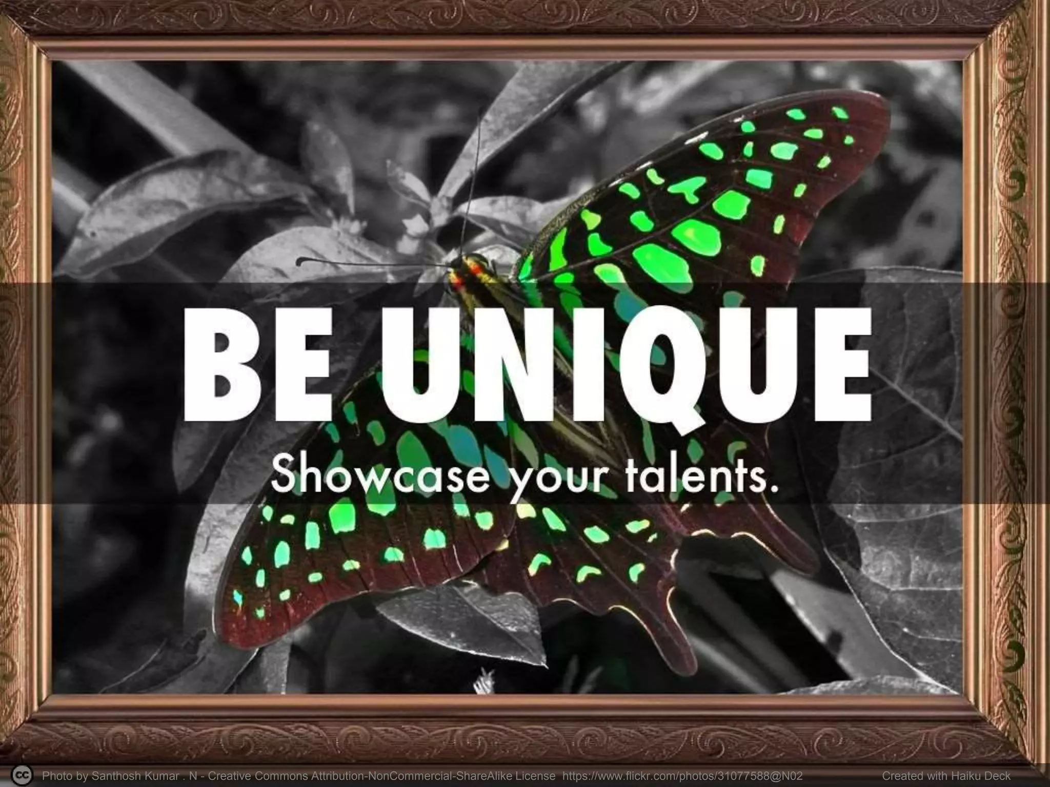 Photo by jetheriot - Creative Commons Attribution License https://www.flickr.com/photos/9198432@N02 Created with Haiku Deck
 