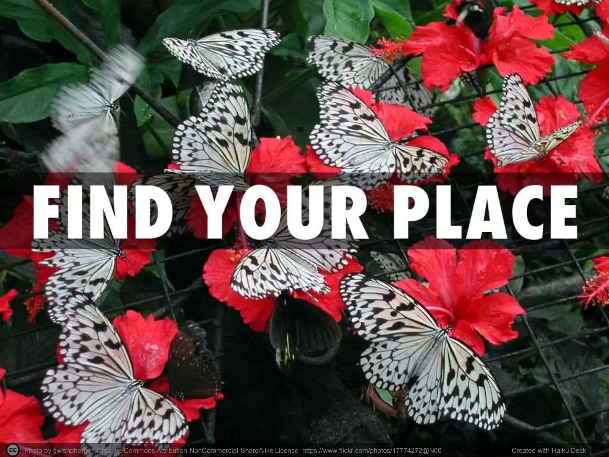 Reading Material
• http://chronicle.com/blogs/onhiring/alls-fair-in-love-
and-linkedin/28937
• http://chronicle.com/article/I-Didnt-Set-Out-to-Create-
an/145963/
• http://chronicle.com/blogs/onhiring/how-to-stand-
out-from-a-crowd/38617
• http://chronicle.com/blogs/profhacker/creating-your-
web-presence-a-primer-for-academics/30458
• http://www.ala.org/acrl/sites/ala.org.acrl/files/content
/aboutacrl/directoryofleadership/sections/is/iswebsite
/projpubs/tipsandtrends/2013summer.pdf
 