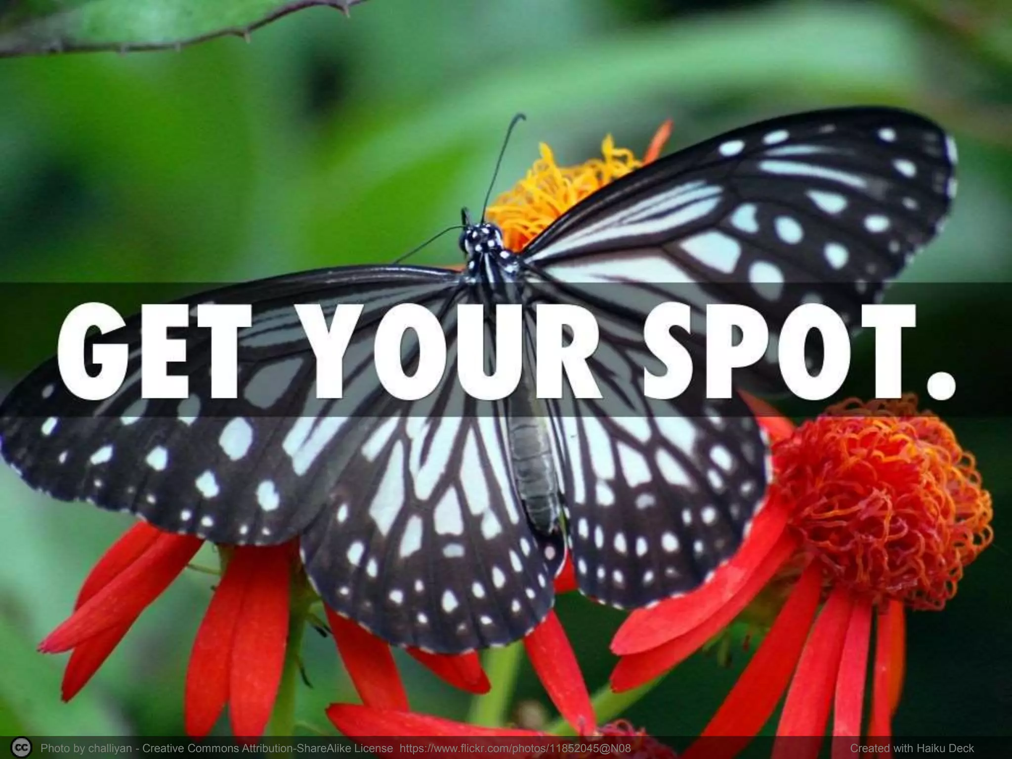 Reading Material
• https://www.vitae.ac.uk/vitae-
publications/reports/innovate-open-
university-social-media-handbook-vitae-
2012.pdf/view
• http://www.entrepreneur.com/article/230680
• http://firstmonday.org/ojs/index.php/fm/artic
le/view/3969/3292
• https://careercenter.depaul.edu/networking/
onlinepresence.aspx
 