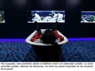 Por supuesto, está prohibido utilizar el teléfono móvil o el ordenador portátil. La única actividad posible, además de descansar, es mirar los peces tropicales de los acuarios de la pared. 