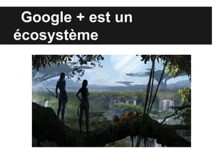Google + est un
écosystème
 