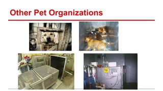 Other Pet Organizations
 