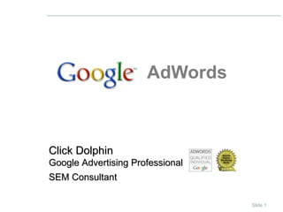 AdWords Click Dolphin  Google Advertising Professional SEM Consultant   