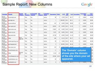 Sample Report: New Columns The ‘Domain’ column shows you the domain of the site where your ad appeared. 