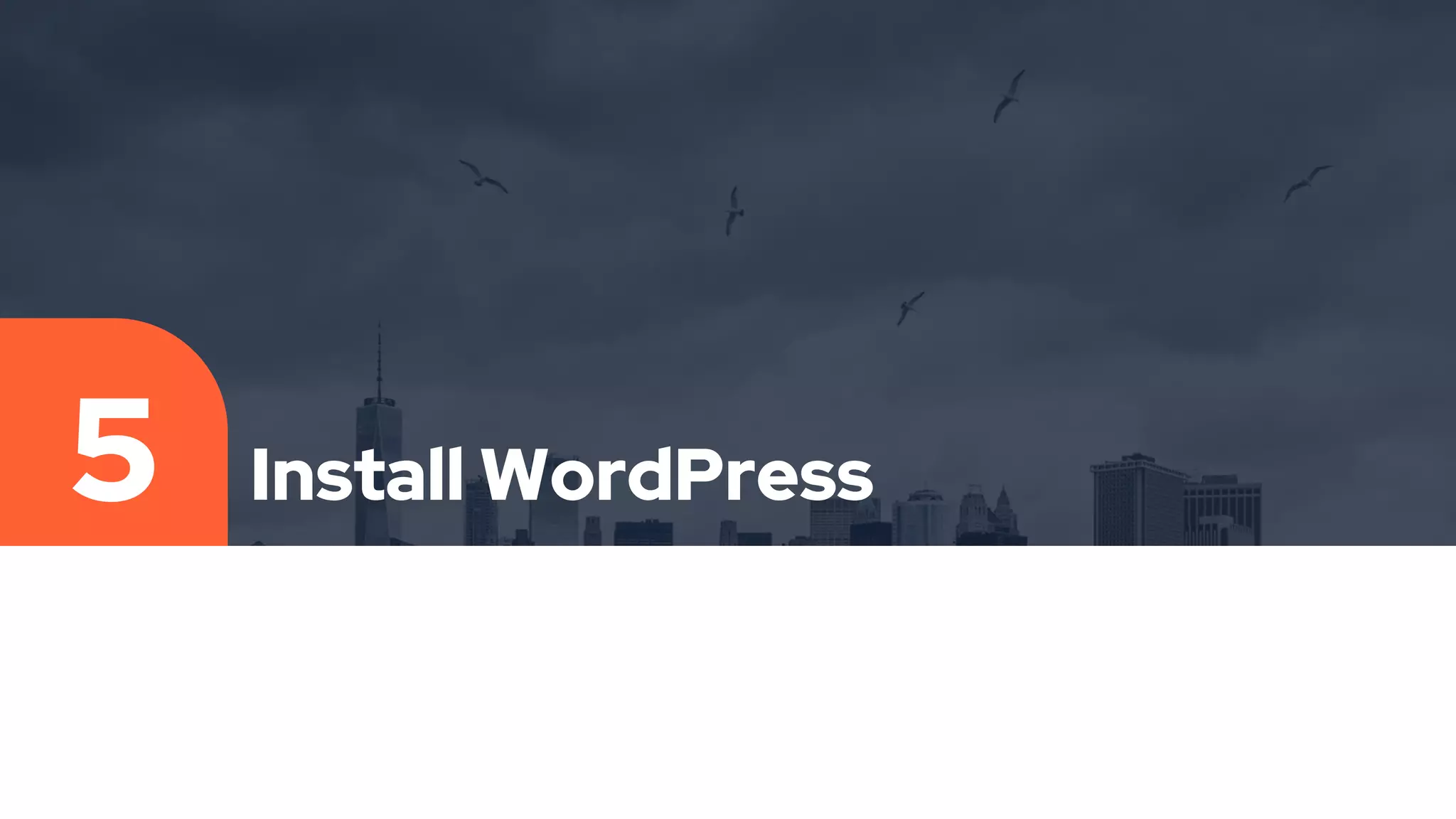 Install WordPress
5
 