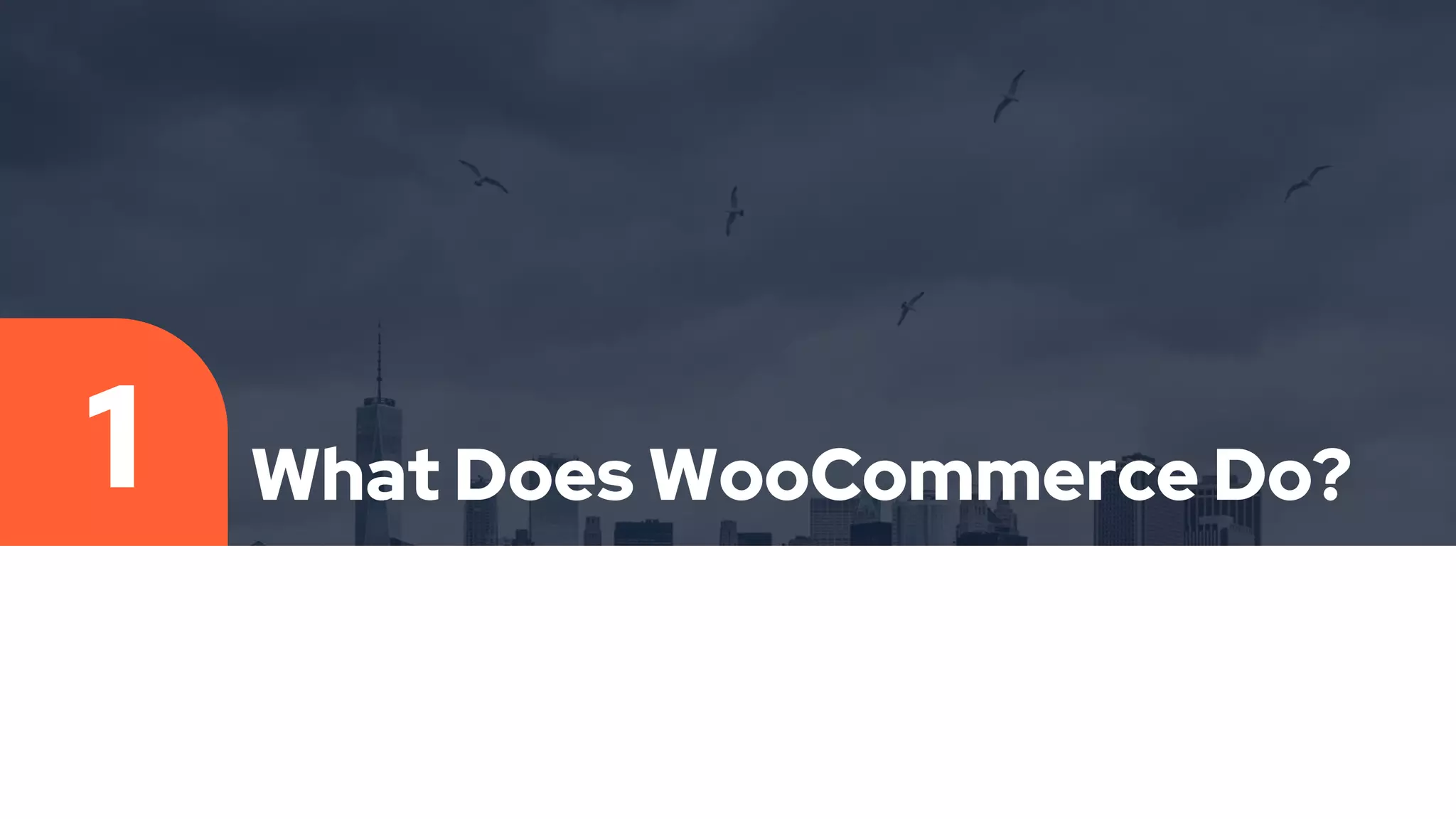 What Does WooCommerce Do?
1
 