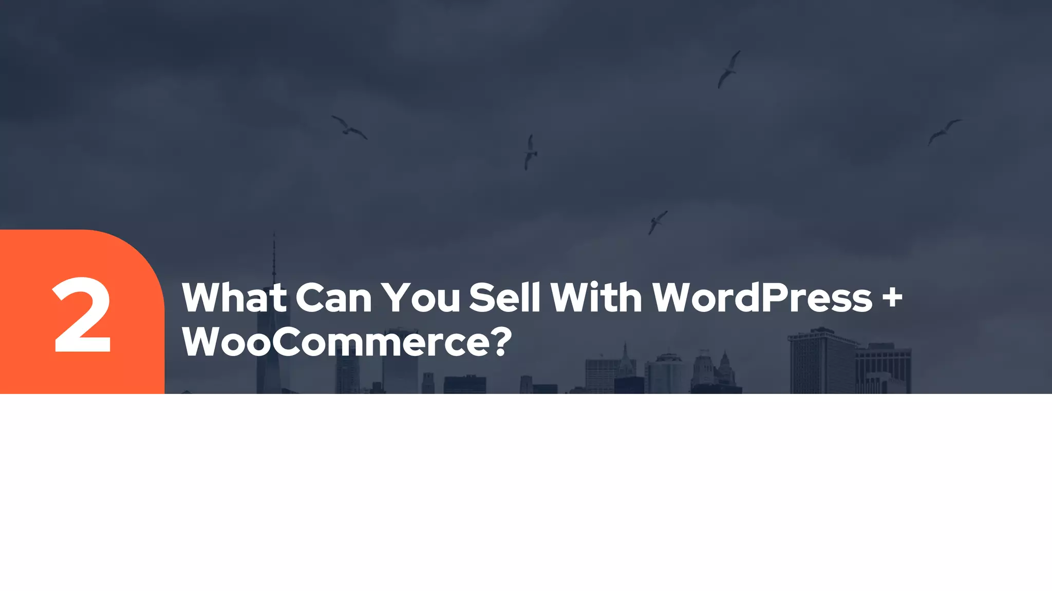 What Can You Sell With WordPress +
WooCommerce?
2
 