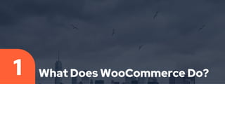 What Does WooCommerce Do?
1
 