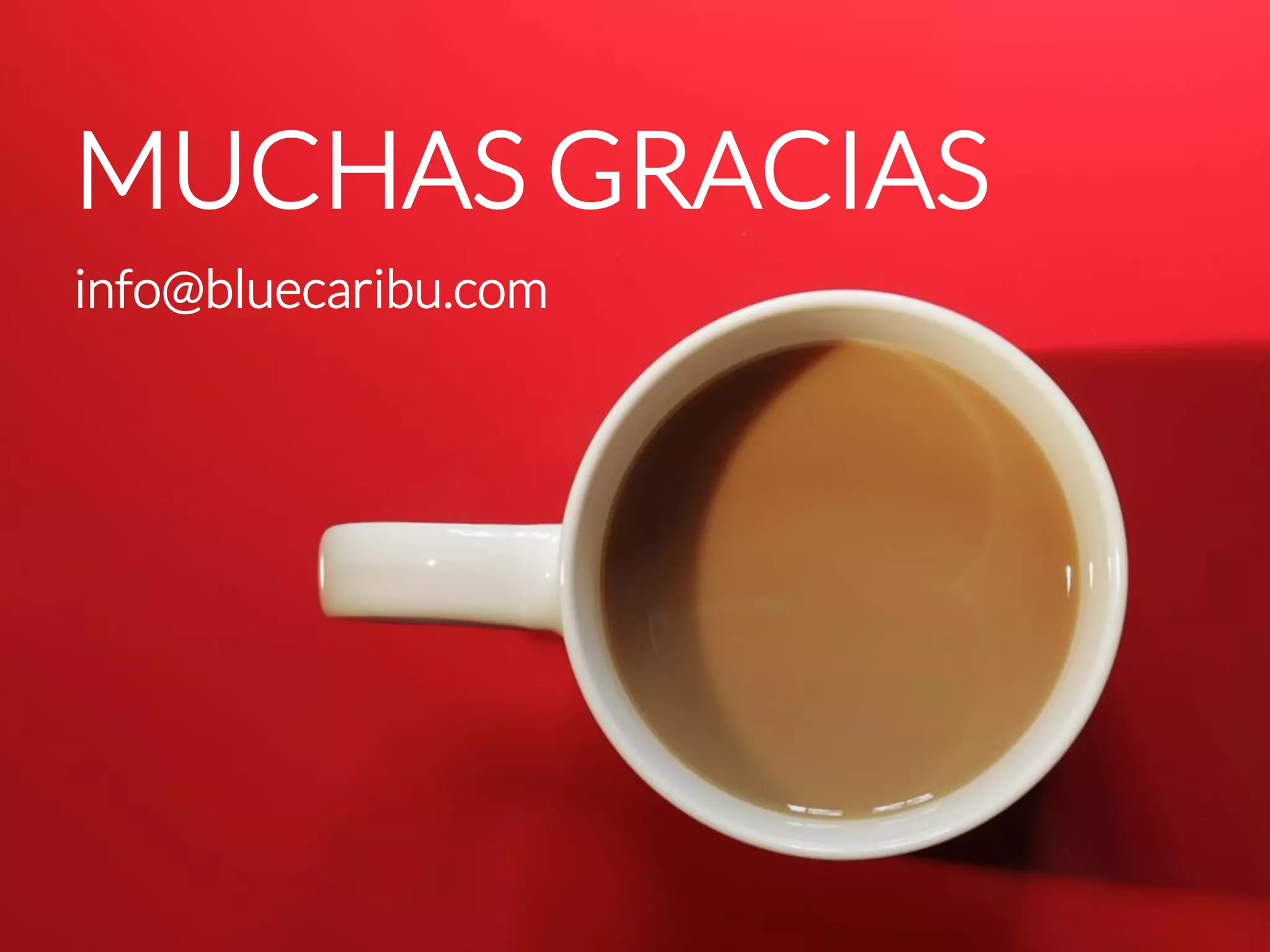 MUCHAS GRACIAS 
info@bluecaribu.com  