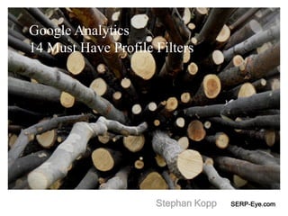 Google Analytics
14 Must Have Profile Filters




                     Stephan Kopp   SERP-Eye.com
 