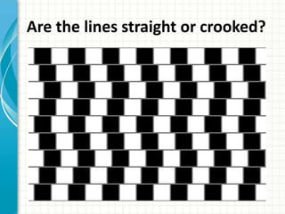 Are the lines straight or crooked? 
 