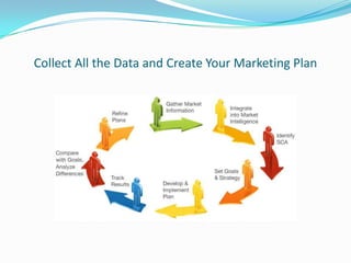 Collect All the Data and Create Your Marketing Plan

 