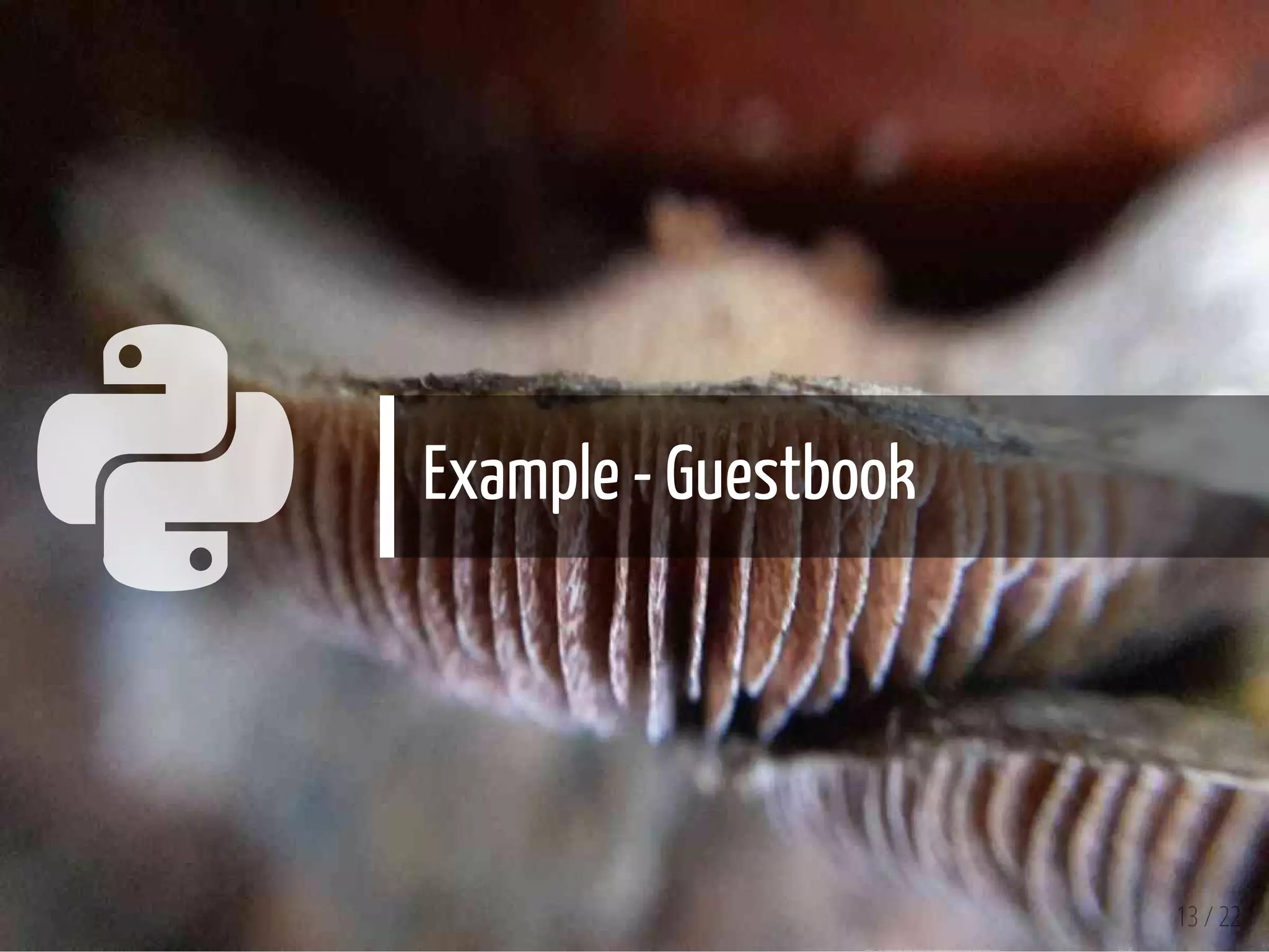  Example - Guestbook
13 / 22
 