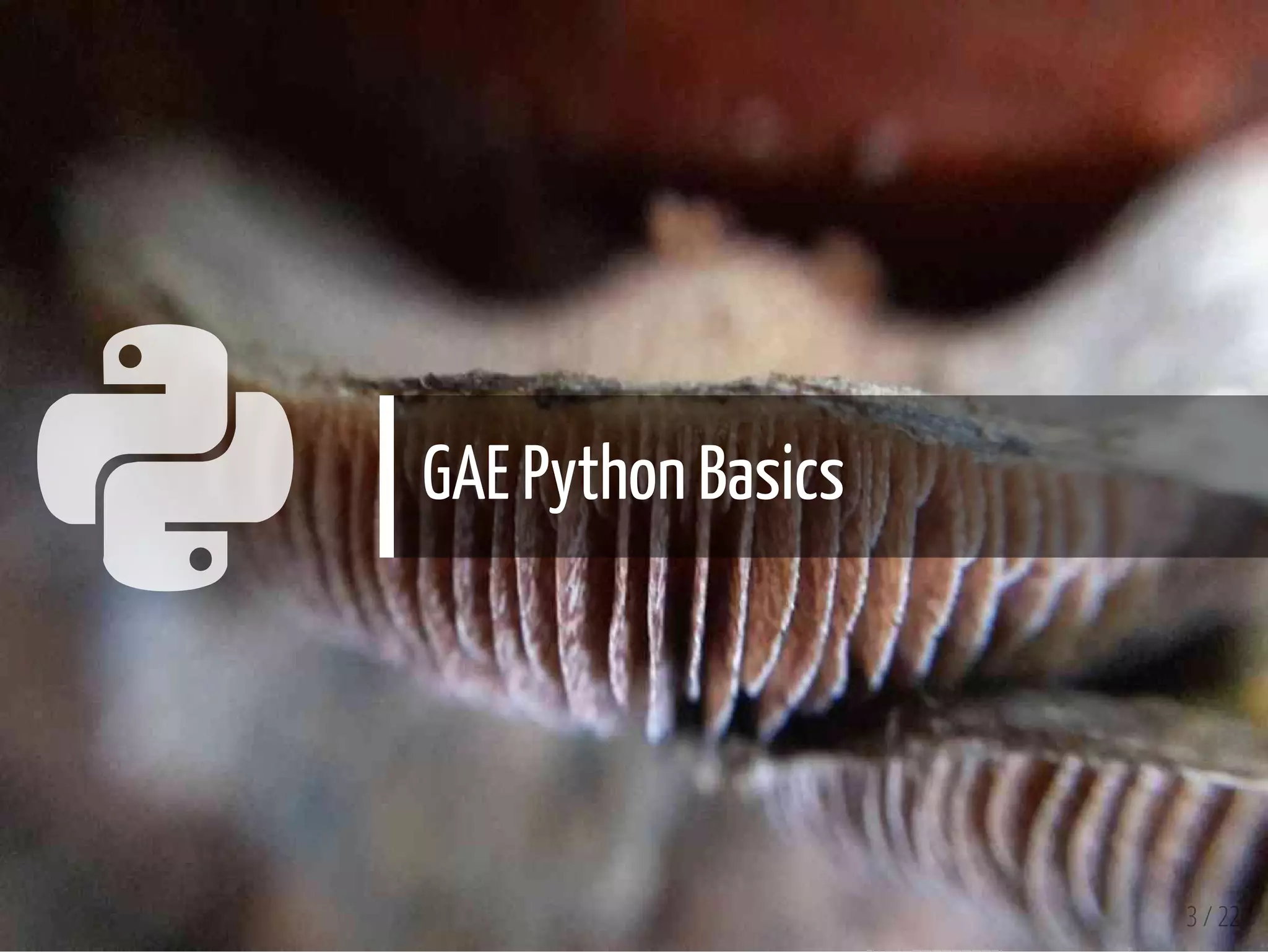  GAE Python Basics
3 / 22
 