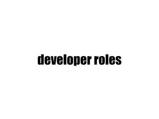 developer roles
 