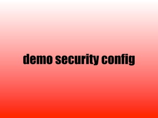 demo security config
 