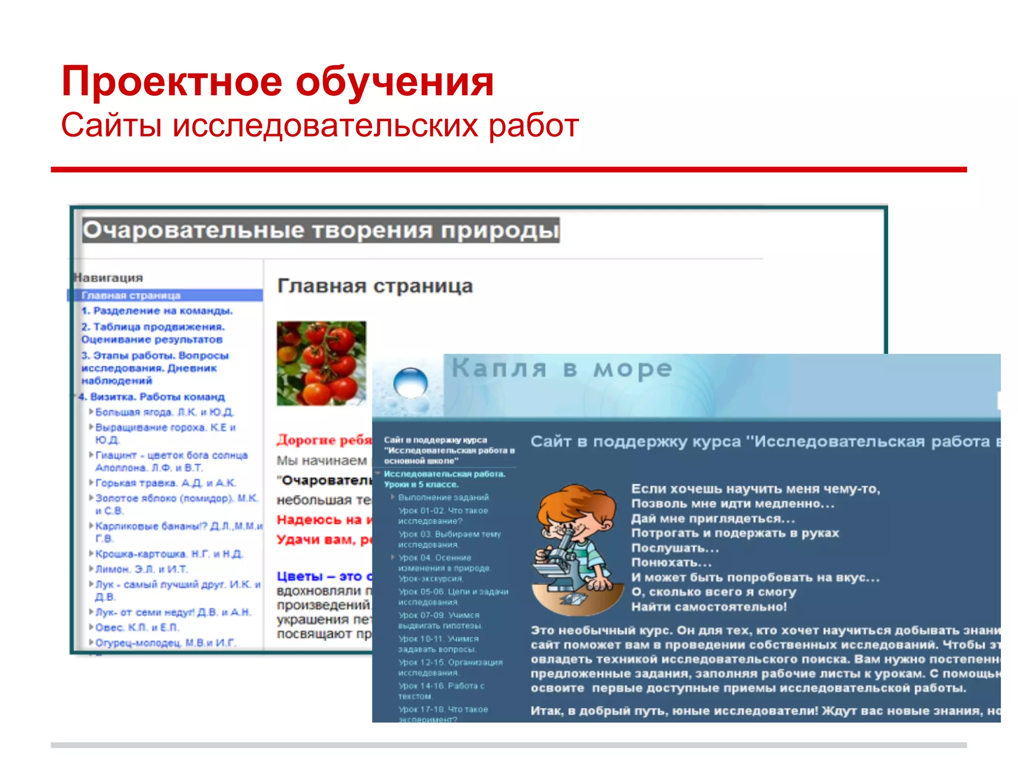 Проектное обучения
Сайты исследовательских работ
 