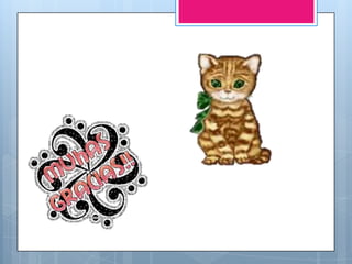 Google apps angie rodriguez