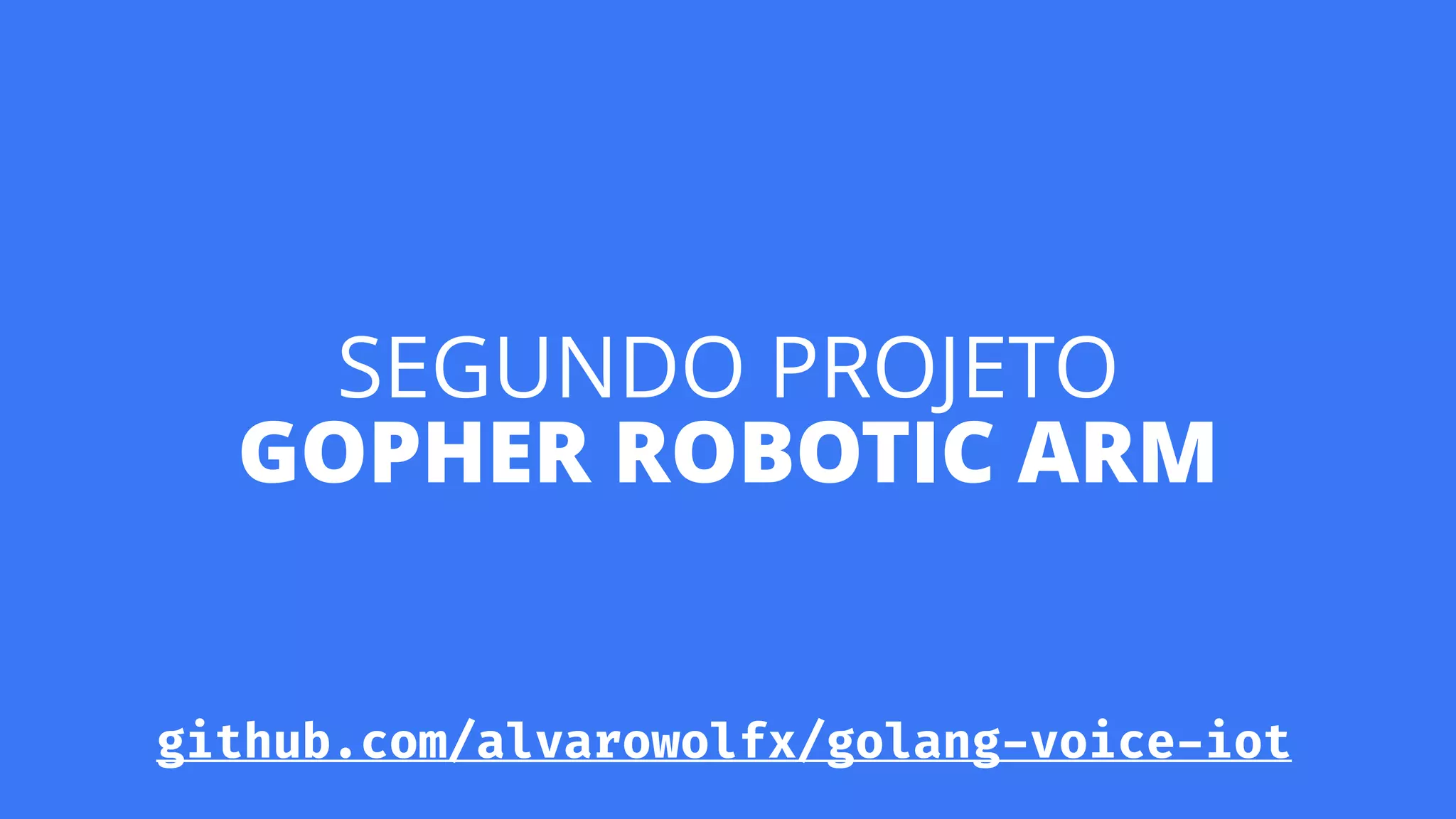 SEGUNDO PROJETO 
GOPHER ROBOTIC ARM
github.com/alvarowolfx/golang-voice-iot
 