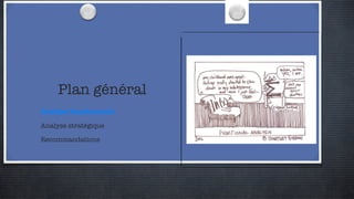 Plan général Analyse fonctionnelle Analyse stratégique Recommandations 