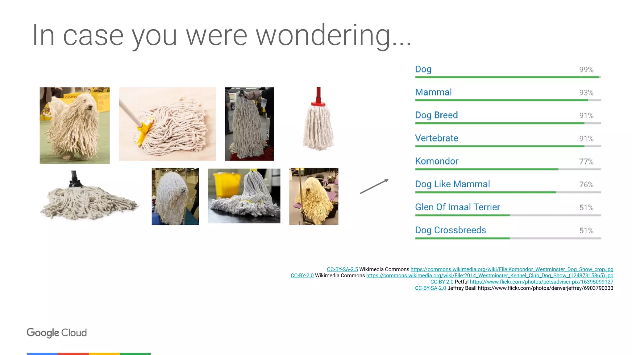 In case you were wondering...
CC-BY-SA-2.5 Wikimedia Commons https://commons.wikimedia.org/wiki/File:Komondor_Westminster_Dog_Show_crop.jpg
CC-BY-2.0 Wikimedia Commons https://commons.wikimedia.org/wiki/File:2014_Westminster_Kennel_Club_Dog_Show_(12487315865).jpg
CC-BY-2.0 Petful https://www.flickr.com/photos/petsadviser-pix/16395099127
CC-BY-SA-2.0 Jeffrey Beall https://www.flickr.com/photos/denverjeffrey/6903790333
 