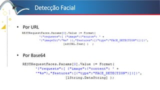 Google Cloud Vision + Delphi | PDF