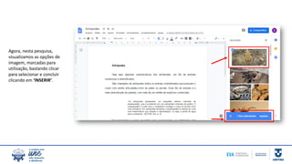 Agora, nesta pesquisa,
visualizamos as opções de
imagem, marcadas para
utilização, bastando clicar
para selecionar e concluir
clicando em ‘INSERIR’.
 