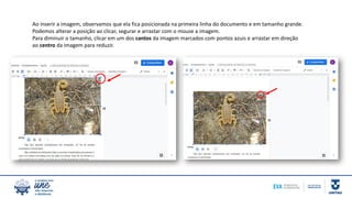 Ao inserir a imagem, observamos que ela fica posicionada na primeira linha do documento e em tamanho grande.
Podemos alterar a posição ao clicar, segurar e arrastar com o mouse a imagem.
Para diminuir o tamanho, clicar em um dos cantos da imagem marcados com pontos azuis e arrastar em direção
ao centro da imagem para reduzir.
 
