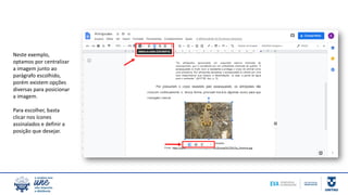 Neste exemplo,
optamos por centralizar
a imagem junto ao
parágrafo escolhido,
porém existem opções
diversas para posicionar
a imagem.
Para escolher, basta
clicar nos ícones
assinalados e definir a
posição que desejar.
 