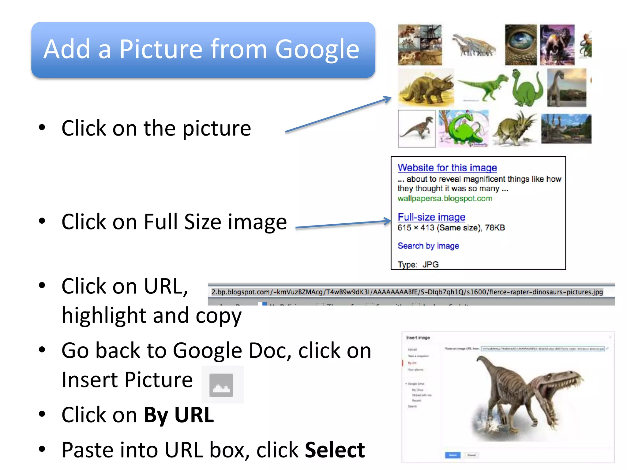 Add a Webcam picture

• Go to Insert –Picture or click on the Picture button
• Click on Take a Snapshot
• Click Allow and Close
• Click on Take Snapshot
• Take a few and then select
  the one you want to use
  and click Select
• Resize by clicking and dragging on the corners
 