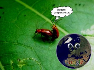 Merda!!!!
Google Earth…!
 