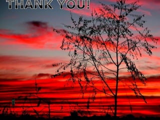 Google earth with 07+ 03df+coll