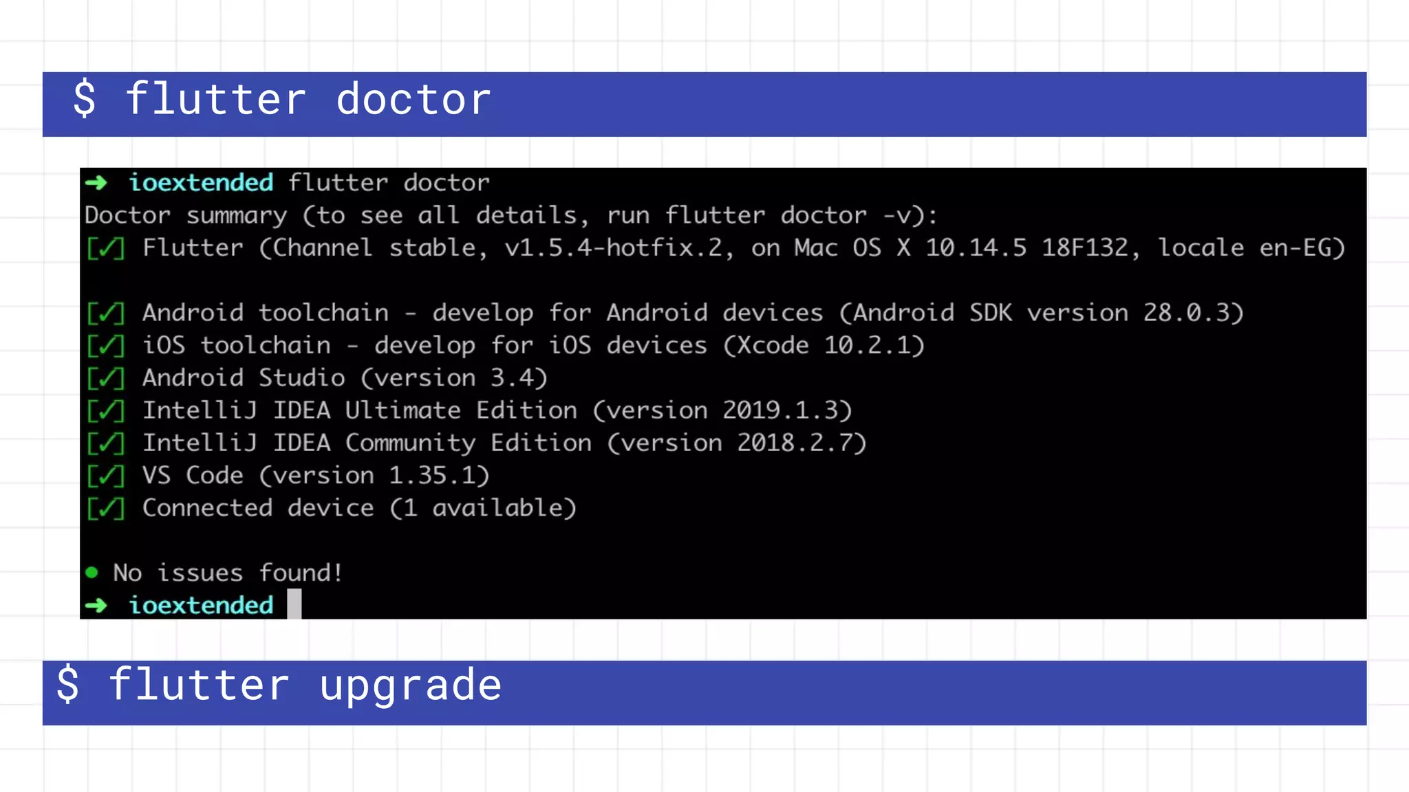 $ flutter doctor
$ flutter upgrade
 