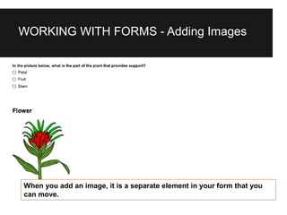 Updated - Google forms tutorial | PPT