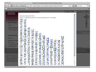 Genome Browser based on Google Maps API