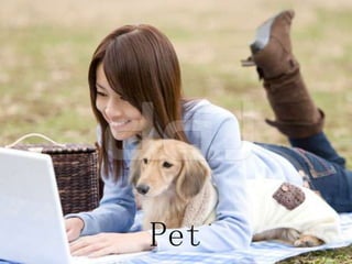 Pet
 